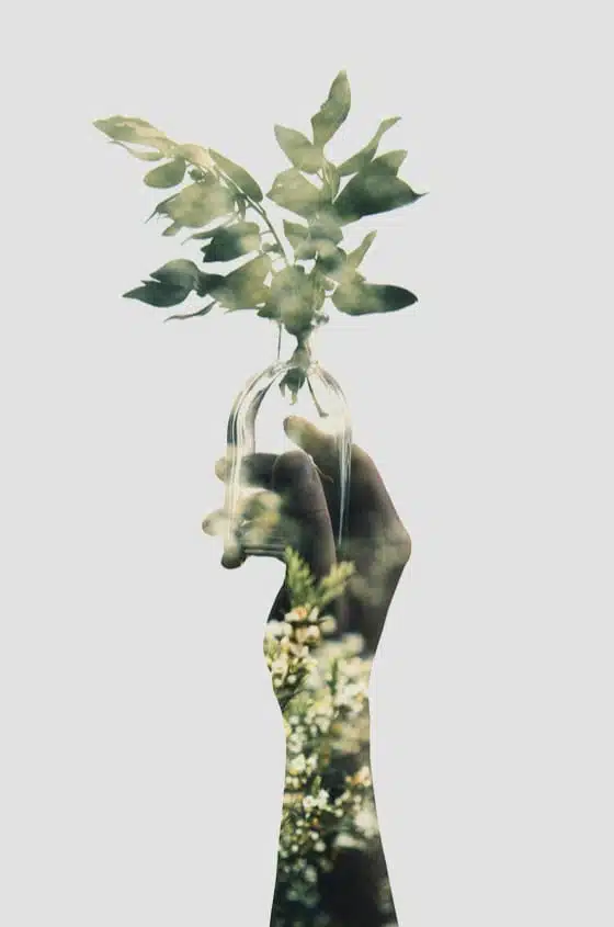 Illustasjon av en hånd som holder en glassvase med en plante i
