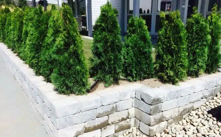 Ny støttemur med busker
